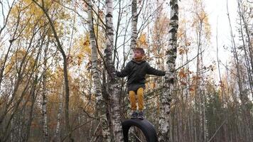 a boy climbs trees in a birch autumn forest. boy plays in his forest house video