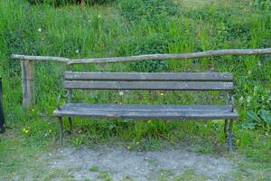 Bench in the summer park with old trees and footpath photo