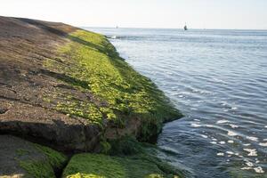 Natural rock formations and pools on seabed covered by algae and eroded by sea in afternoon sunlight in summer photo