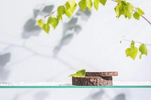 Wooden empty podium on a glass shelf with green branches photo