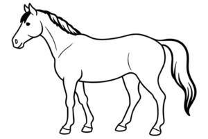 Black and white outline of a horse isolated on a white background. Concept of a wild animal illustration, minimalist style, equestrian theme. Print, icon, logo, element for design. Coloring book. vector
