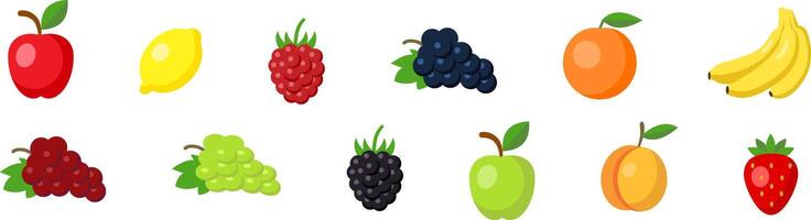 Set of colorful isolated fruit icons. illustration vector
