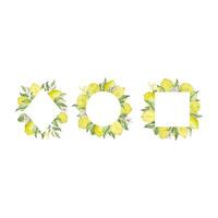 Watercolor lemon frame set with fruit, slice, leaves and flowers vector