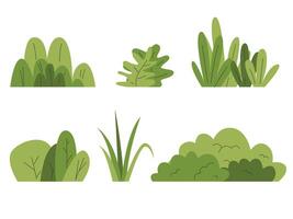 Hand drawn shrub bush shrubbery tree. set of garden plant element vector