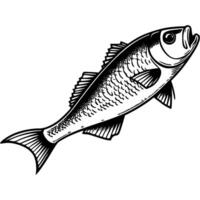 Trophy salmon fisherman catch in monochrome. Large sea fish. Simple minimalistic in black ink drawing on white background vector