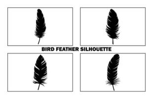 Cute Bird Feather Silhouette Illustration, Bird Feather icon, Black silhouette of a bird feather on a white background, Different types of bird feather. vector