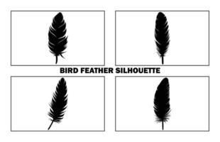 Cute Bird Feather Silhouette Illustration, Bird Feather icon, Black silhouette of a bird feather on a white background, Different types of bird feather. vector