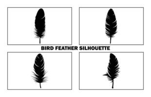 Cute Bird Feather Silhouette Illustration, Bird Feather icon, Black silhouette of a bird feather on a white background, Different types of bird feather. vector
