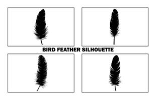 Cute Bird Feather Silhouette Illustration, Bird Feather icon, Black silhouette of a bird feather on a white background, Different types of bird feather. vector