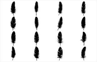 Cute Bird Feather Silhouette Illustration, Bird Feather icon, Black silhouette of a bird feather on a white background, Different types of bird feather. vector