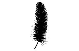 Cute Bird Feather Silhouette Illustration, Bird Feather icon, Black silhouette of a bird feather on a white background, Different types of bird feather. vector
