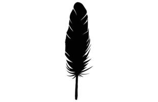Cute Bird Feather Silhouette Illustration, Bird Feather icon, Black silhouette of a bird feather on a white background, Different types of bird feather. vector