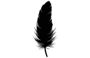 Cute Bird Feather Silhouette Illustration, Bird Feather icon, Black silhouette of a bird feather on a white background, Different types of bird feather. vector