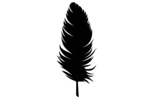 Cute Bird Feather Silhouette Illustration, Bird Feather icon, Black silhouette of a bird feather on a white background, Different types of bird feather. vector