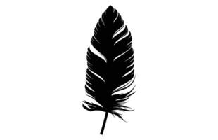 Cute Bird Feather Silhouette Illustration, Bird Feather icon, Black silhouette of a bird feather on a white background, Different types of bird feather. vector