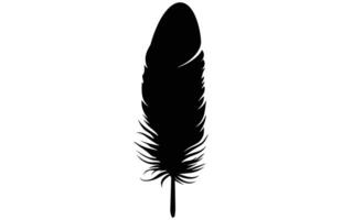 Cute Bird Feather Silhouette Illustration, Bird Feather icon, Black silhouette of a bird feather on a white background, Different types of bird feather. vector