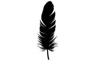 Cute Bird Feather Silhouette Illustration, Bird Feather icon, Black silhouette of a bird feather on a white background, Different types of bird feather. vector
