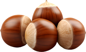 hazelnut on a transparent background png