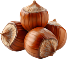 hazelnut on a transparent background png