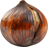 hazelnut on a transparent background png