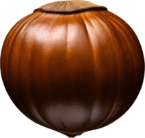 hazelnut on a transparent background png