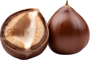 hazelnut on a transparent background png