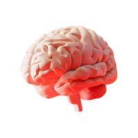 uma humano cérebro em uma transparente fundo png
