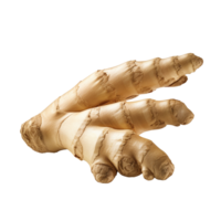 Fresh ginger isolated on transparent background png