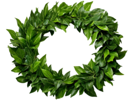 Green leaves frame isolated on transparent background png