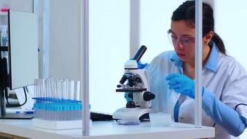 Scientist placing a slide on specimen stage of a laboratory microscope making adjustments. Chemist working with various bacteria, tissue and blood samples, pharmaceutical research for antibiotics video