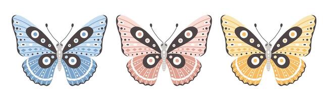 Set of one butterfly in three colors, illustration. Beautiful wings with abstract ornament, front view. Element for tattoo design. Summer background vector