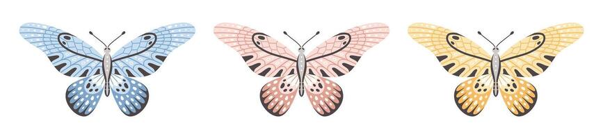 Set of butterflies in three colors, illustration. Beautiful wings with abstract ornament, front view. Element for tattoo design. Summer background vector