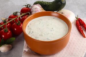 Traditional delicious appetizer greek tzatziki Turkish name cacik photo