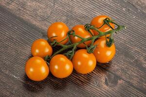 Yellow sweet tomato on the branch photo