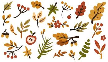 Set of different branches with leaves, red berries. Leaf of foliage plant. Collection of botanical design elements. Colored flat illustration of autumn herbarium isolated on white background vector