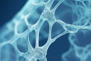 Bone tissue human skeleton under microscope cells structure medical science biology background texture magnification research structure health microbiology internal materials organs photo