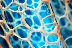 Bone tissue human skeleton under microscope cells structure medical science biology background texture magnification research structure health microbiology internal materials organs photo