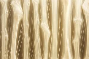 Bone tissue human skeleton under microscope cells structure medical science biology background texture magnification research structure health microbiology internal materials organs photo