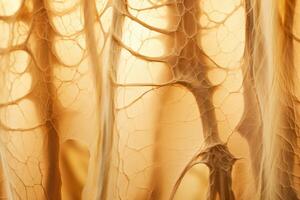 Bone tissue human skeleton under microscope cells structure medical science biology background texture magnification research structure health microbiology internal materials organs photo