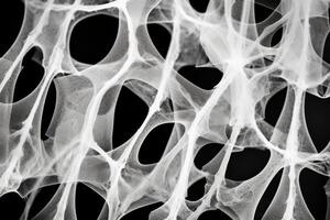 Bone tissue human skeleton under microscope cells structure medical science biology background texture magnification research structure health microbiology internal materials organs photo