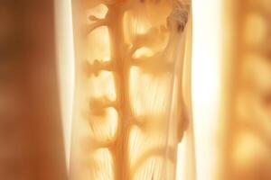 Bone tissue human skeleton under microscope cells structure medical science biology background texture magnification research structure health microbiology internal materials organs photo