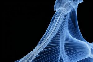 Bone tissue human skeleton under microscope cells structure medical science biology background texture magnification research structure health microbiology internal materials organs photo