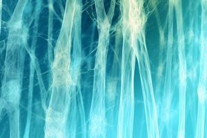 Bone tissue human skeleton under microscope cells structure medical science biology background texture magnification research structure health microbiology internal materials organs photo