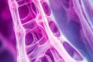Bone tissue human skeleton under microscope cells structure medical science biology background texture magnification research structure health microbiology internal materials organs photo