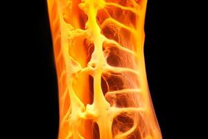 Bone tissue human skeleton under microscope cells structure medical science biology background texture magnification research structure health microbiology internal materials organs photo