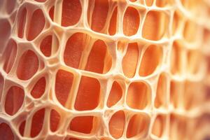 Bone tissue human skeleton under microscope cells structure medical science biology background texture magnification research structure health microbiology internal materials organs photo