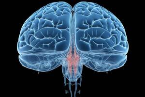 Side view colorful glowing neon human brain parts intelligence scan anatomy neurology black background. Medical science artificial intelligence futuristic glowing plexus structure digital photo