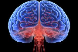 Side view colorful glowing neon human brain parts intelligence scan anatomy neurology black background. Medical science artificial intelligence futuristic glowing plexus structure digital photo