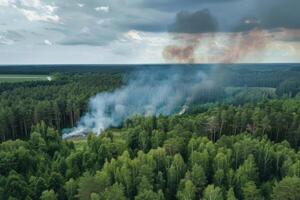 Wildforest fire burning forest trees eecological disaster smoke aerial view from helicopter danger death animals damage hazard blaze pollution tragedy photo