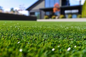 Green field grass lawn beautiful garden summer sunlight nature beauty yard cottage outdoors trees spring field relaxation flowers blooming fresh leaves photo